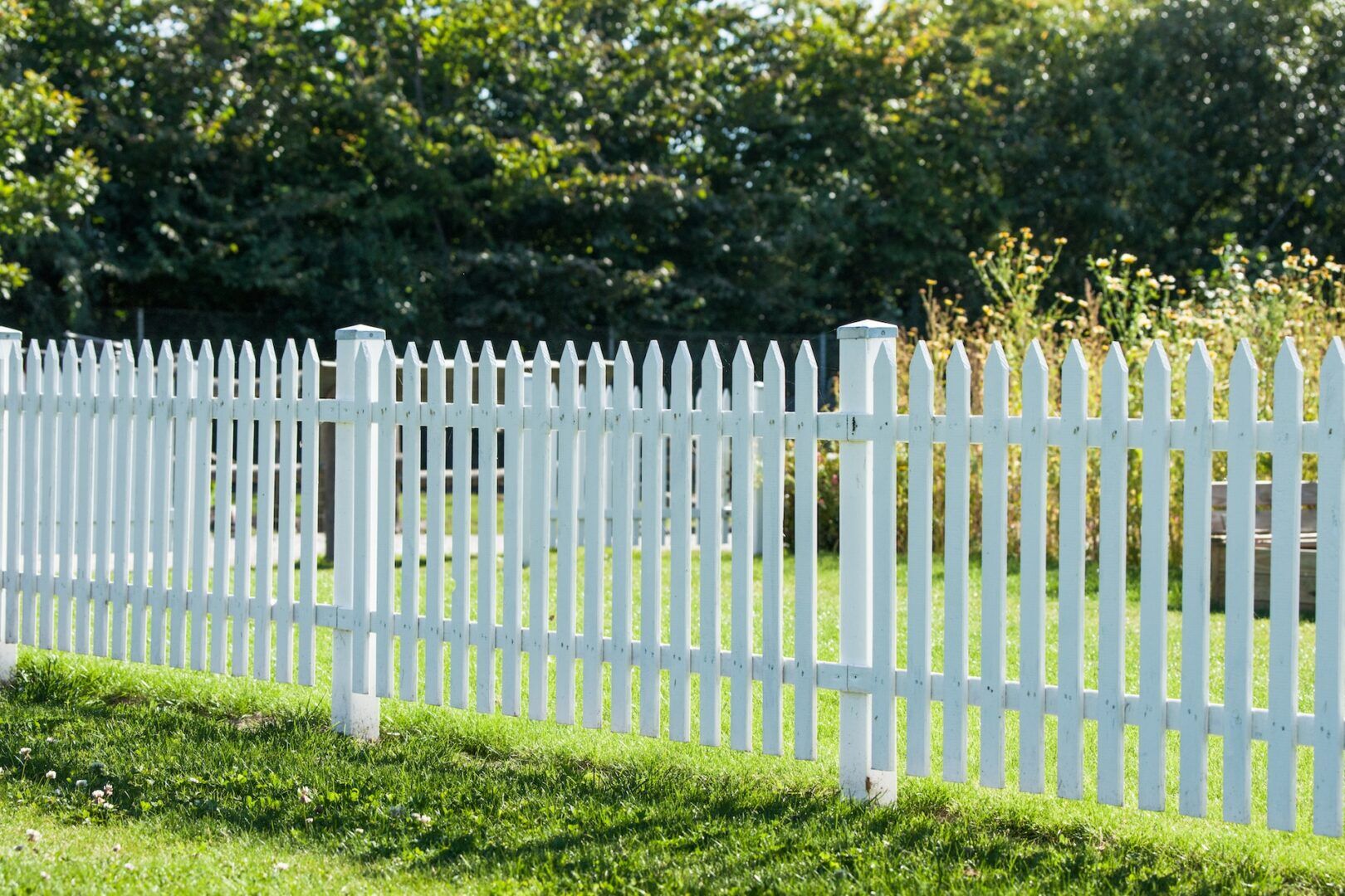 A neat white picket fence encloses a lush, green lawn. In the background, tall trees and bushes suggest a serene, suburban setting. The sunlight casts gentle shadows on the grass, adding to the tranquil atmosphere.